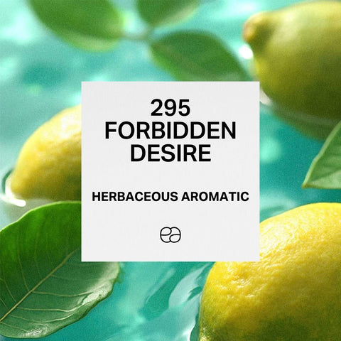 295 Forbidden Desire