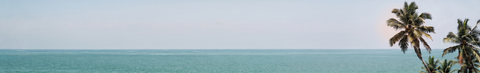 Perfumes que huelen a verano