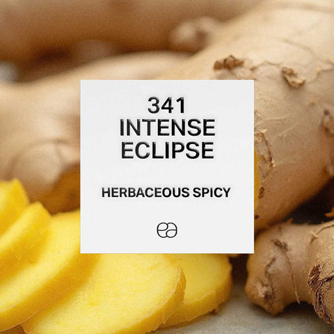 341 Intense Eclipse