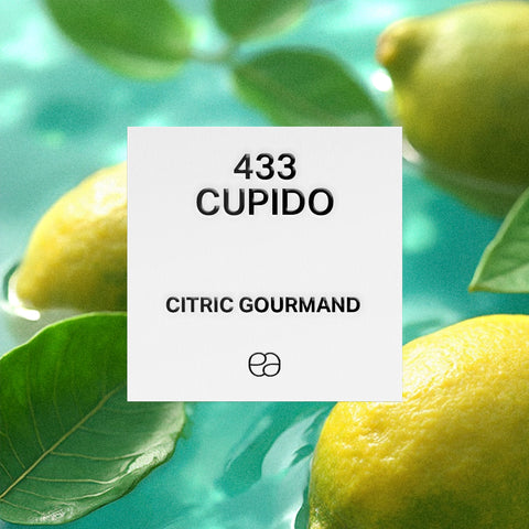 Cítrico Gourmand 433 - 2