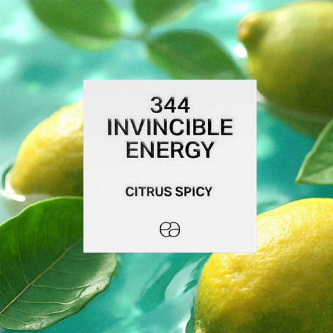 344 Invincible Energy